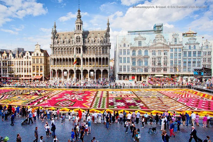 Blumenteppich in Belgiens Hauptstadt Brüssel